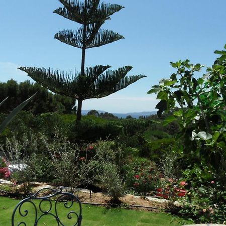 Villa Carpe Diem Le Lavandou Eksteriør billede