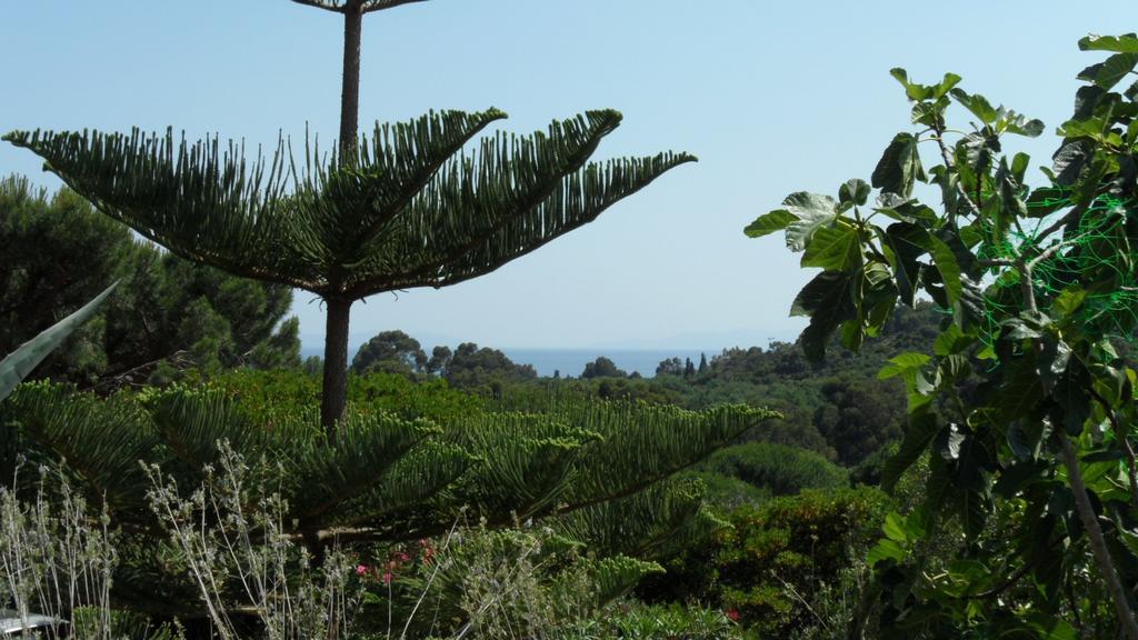 Villa Carpe Diem Le Lavandou Værelse billede